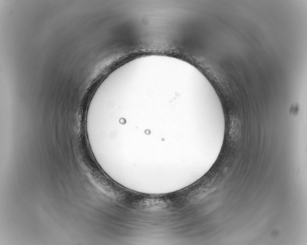 X0000093560636200710291020