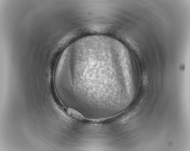 X0000093560637200710291020