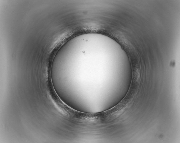 X0000093560638200710291020