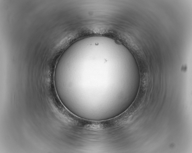 X0000093560639200710291020