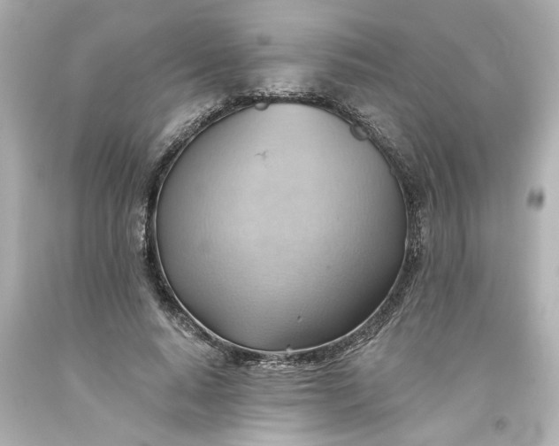 X0000093560640200710291020