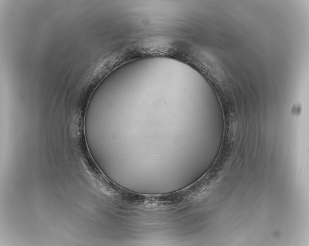 X0000093560641200710291020