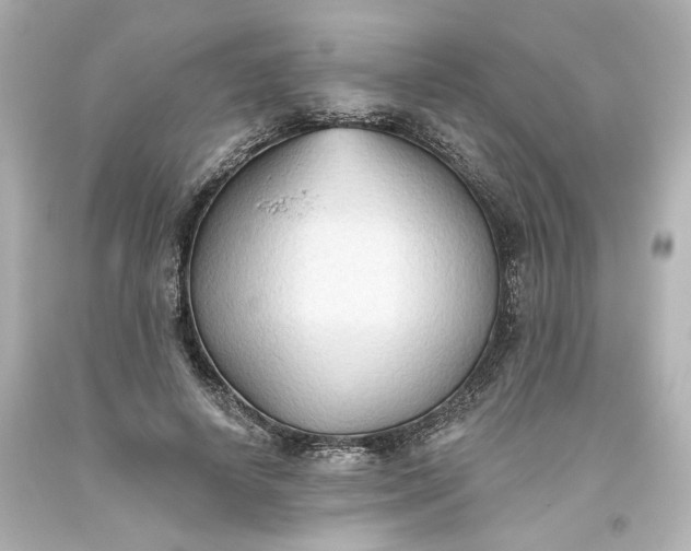 X0000093560642200710291020