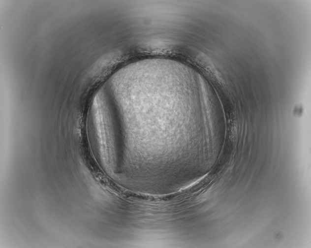 X0000093560643200710291020