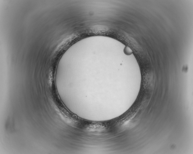 X0000093560644200710291020