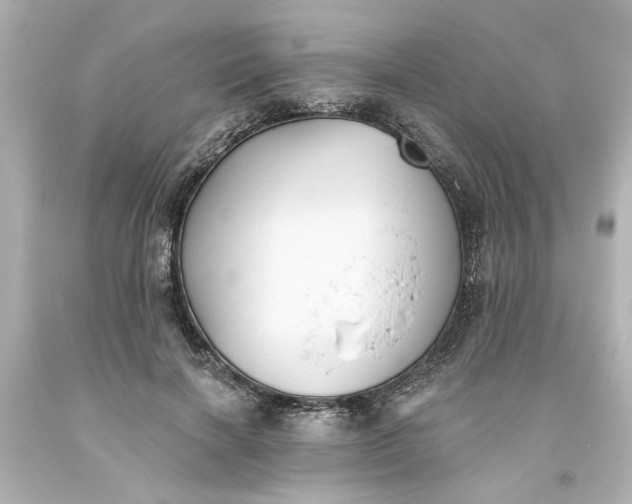 X0000093560646200710291020