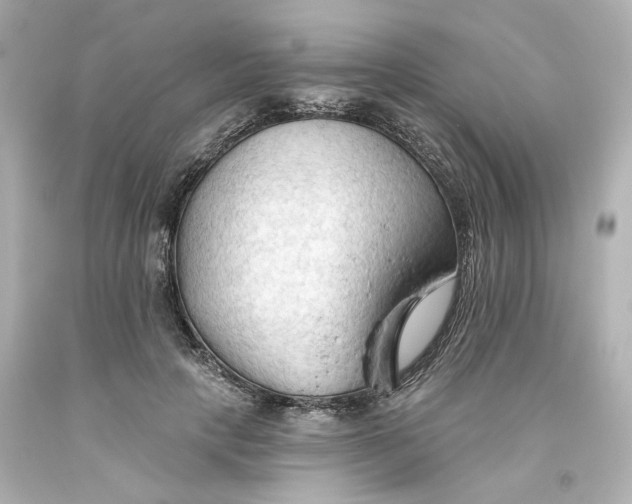 X0000093560649200710291020