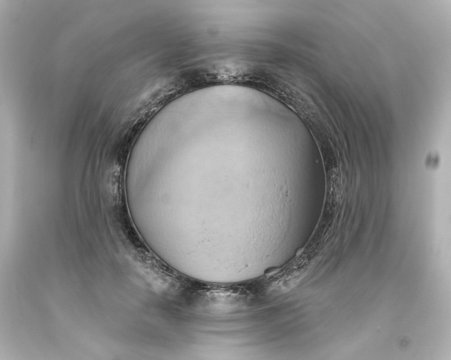 X0000093560650200710291020