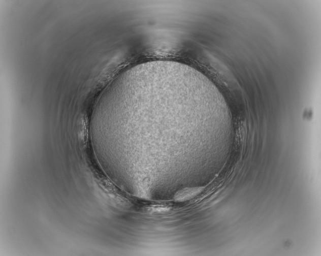 X0000093560651200710291020