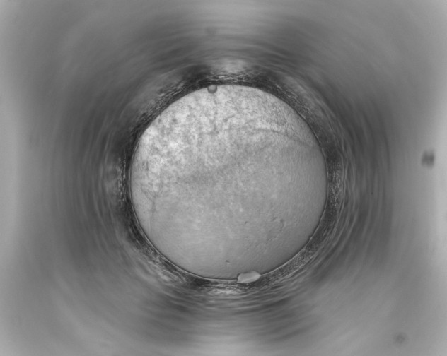 X0000093560653200710291020