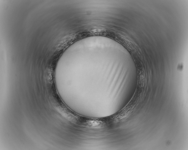 X0000093560654200710291020