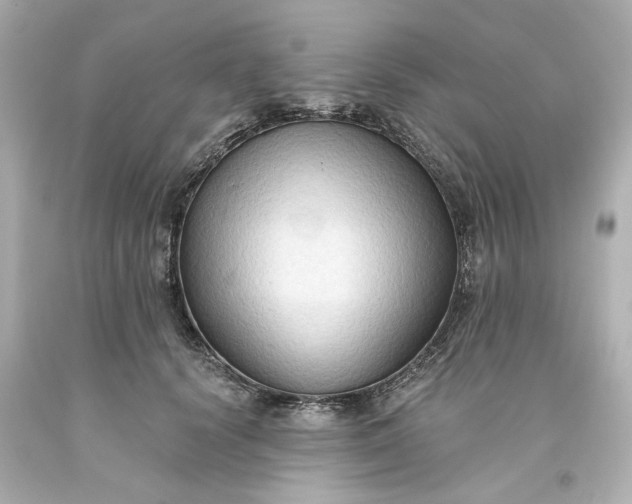 X0000093560656200710291020