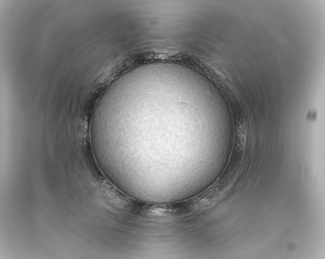 X0000093560657200710291020