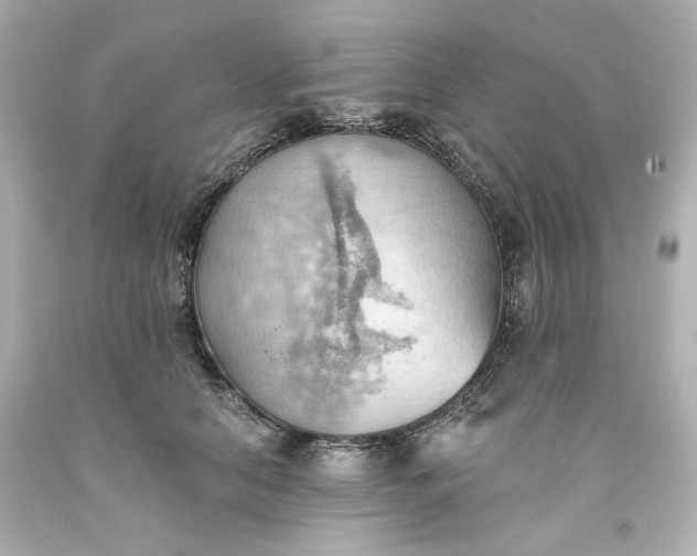 X0000093560658200710291020