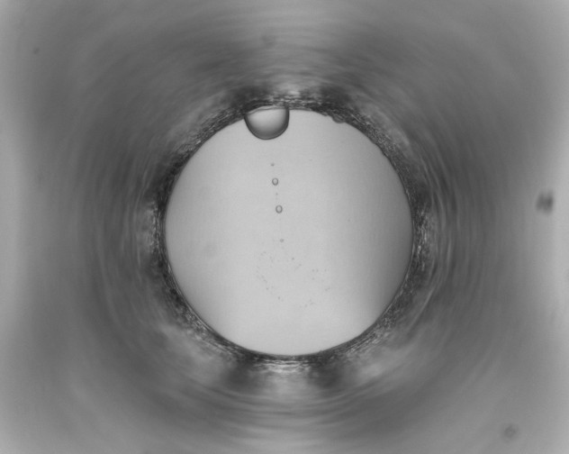 X0000093560659200710291020