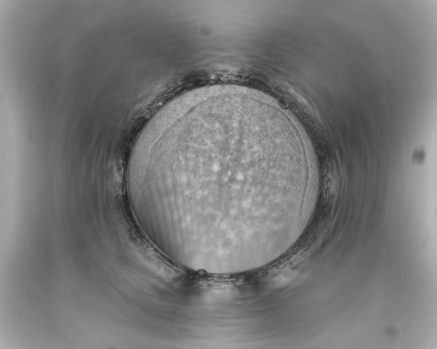 X0000093560661200710291020