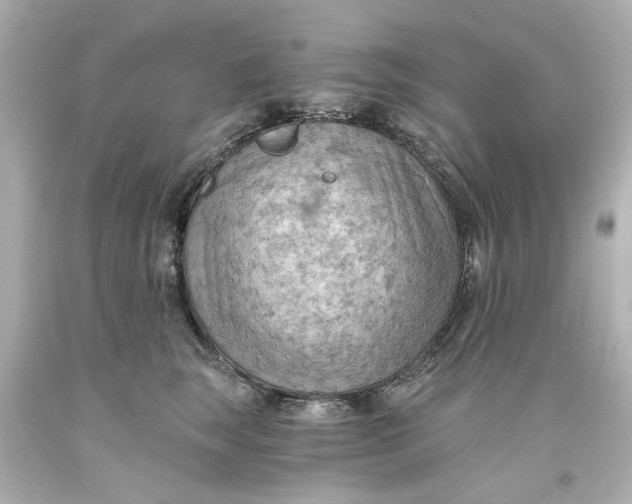 X0000093560663200710291020