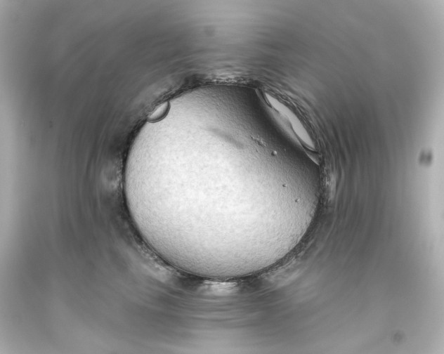 X0000093560665200710291020