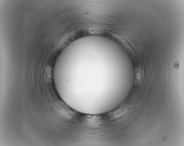 X0000093560667200710291020