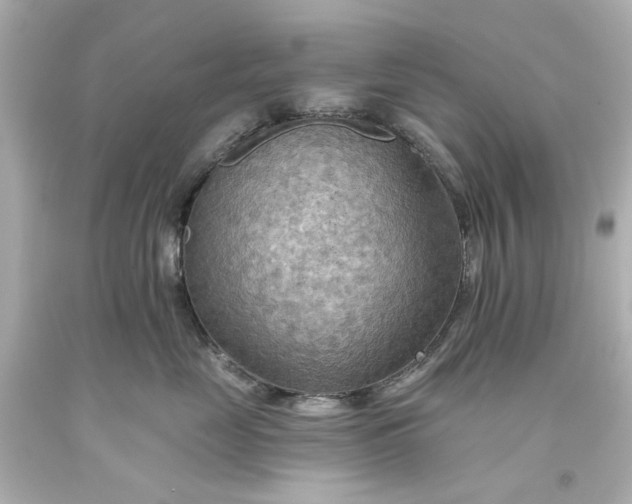 X0000093560669200710291020