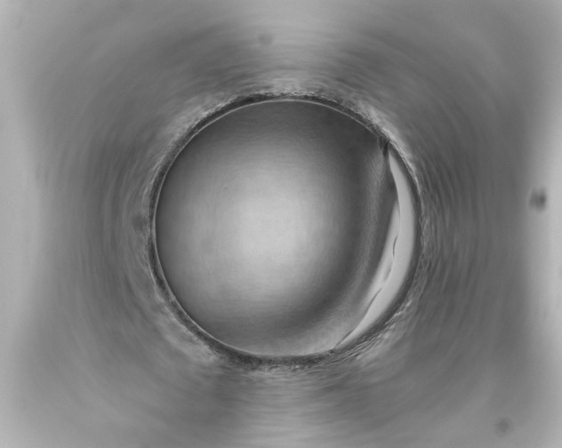 X0000093560673200710291020