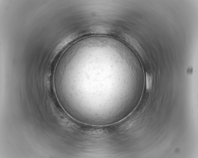 X0000093560675200710291020