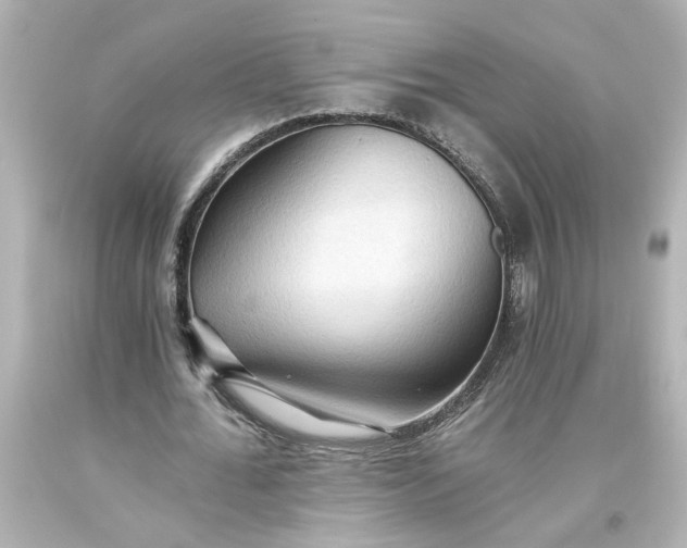 X0000093560676200710291020