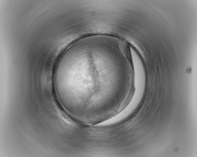 X0000093560677200710291019