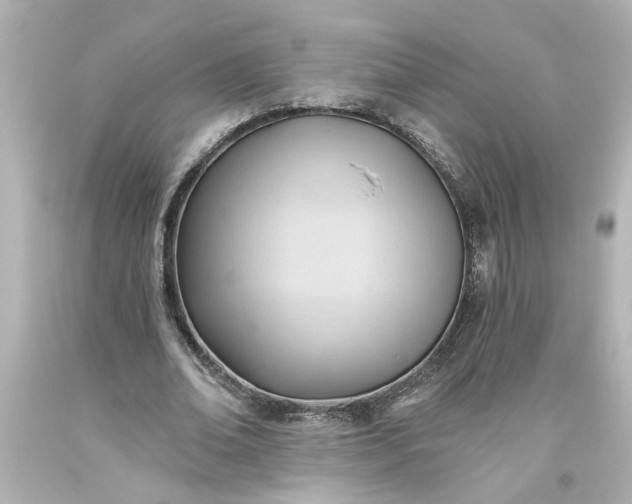 X0000093560678200710291019