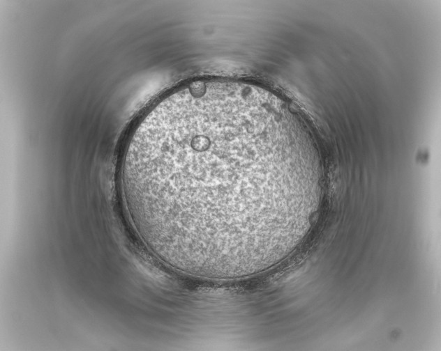 X0000093560679200710291019