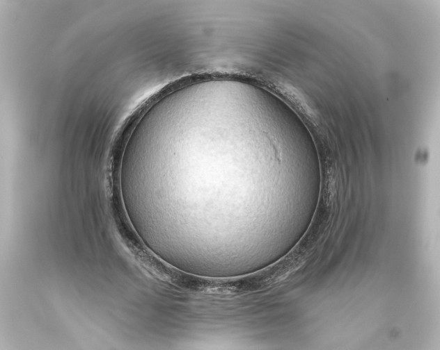 X0000093560680200710291019