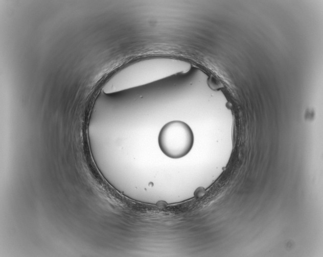 X0000093560681200710291019