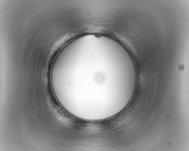 X0000093560682200710291019