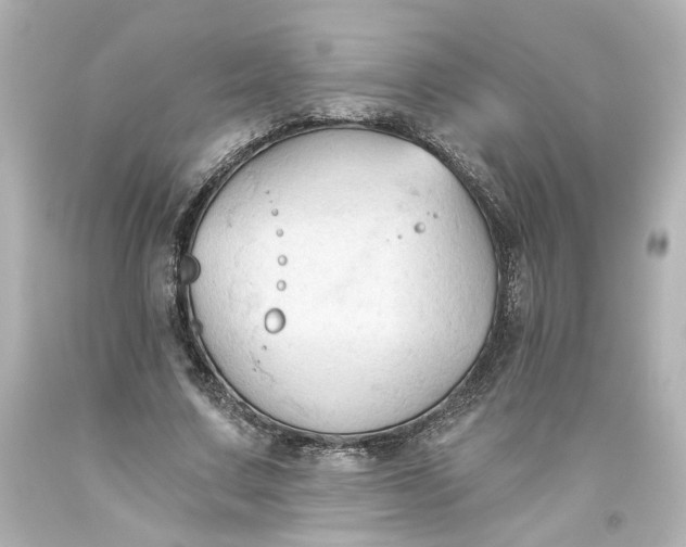 X0000093560683200710291019