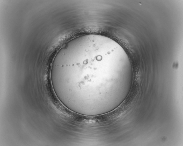 X0000093560687200710291019