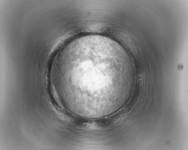 X0000093560688200710291019