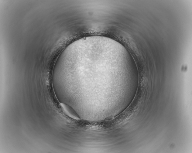 X0000093560689200710291019