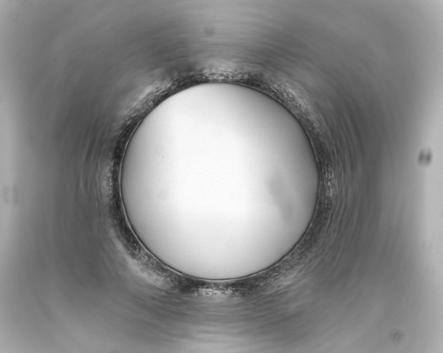 X0000093560690200710291019