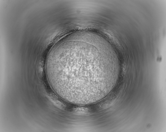 X0000093560691200710291019