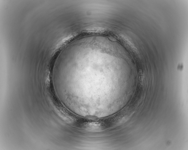 X0000093560692200710291019