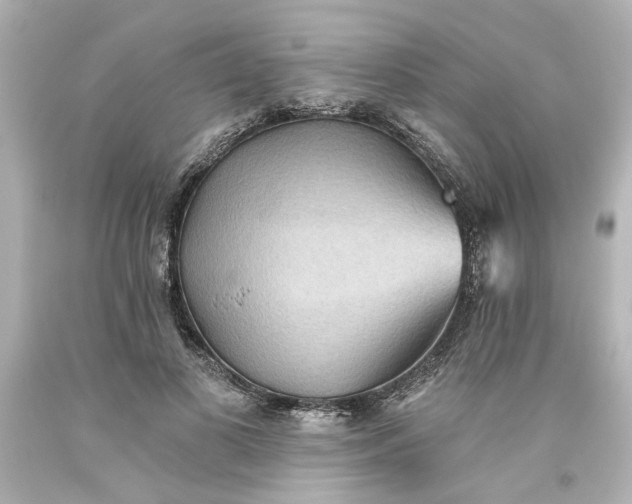 X0000093560693200710291019