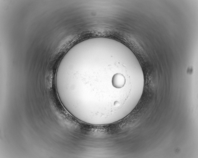 X0000093560694200710291019