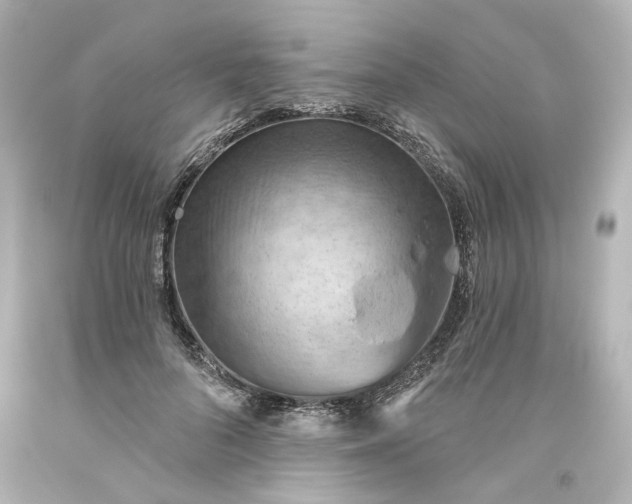 X0000093560696200710291019