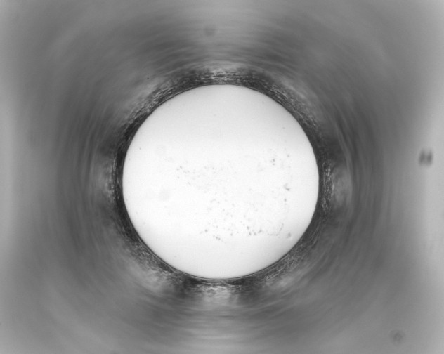 X0000093560698200710291019