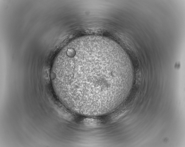 X0000093560699200710291019