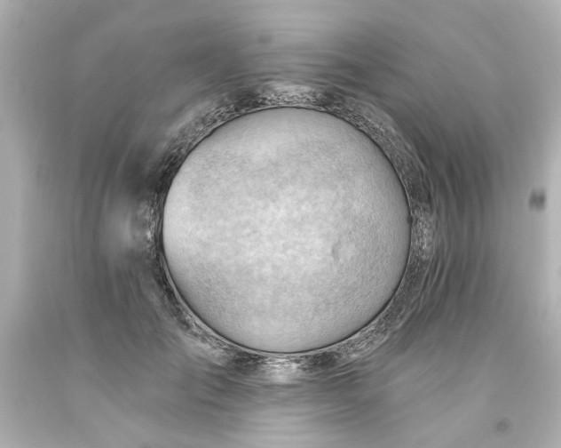 X0000093560701200710291019