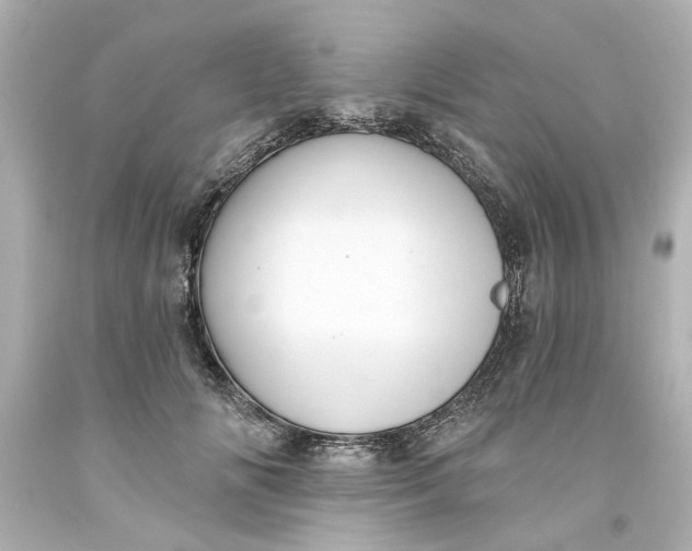 X0000093560702200710291019