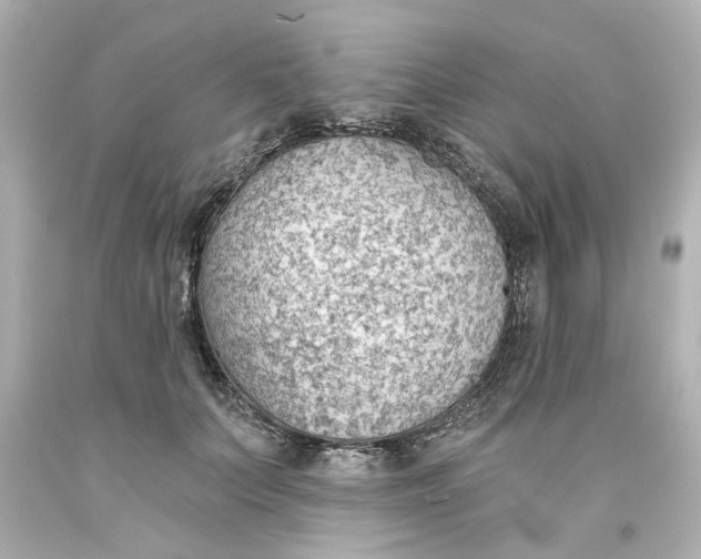 X0000093560703200710291019