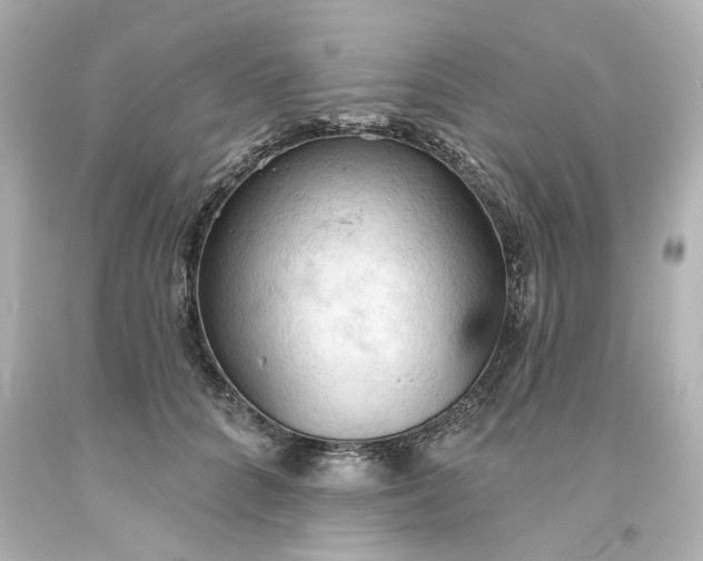 X0000093560704200710291019