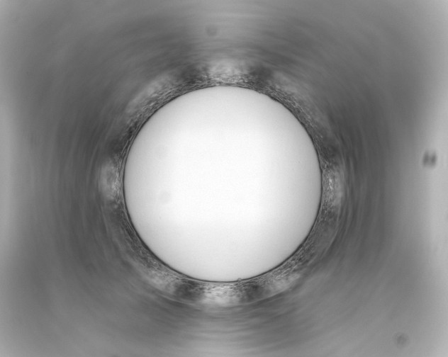 X0000093560705200710291019